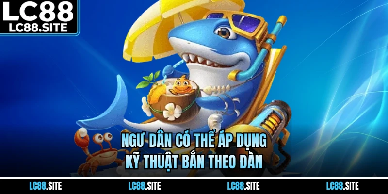 Ngư dân có thể áp dụng kỹ thuật bắn theo đàn