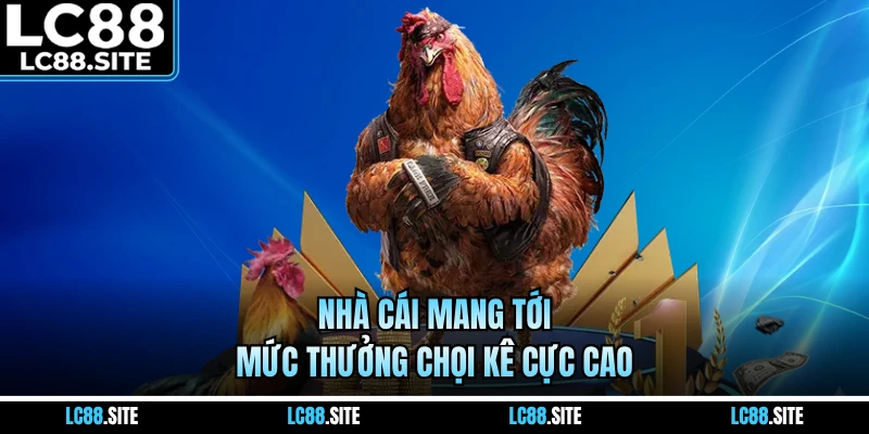 Nhà cái mang tới mức thưởng chọi kê cực cao